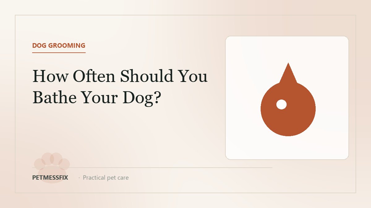 How Often Should You Bathe Your Dog?