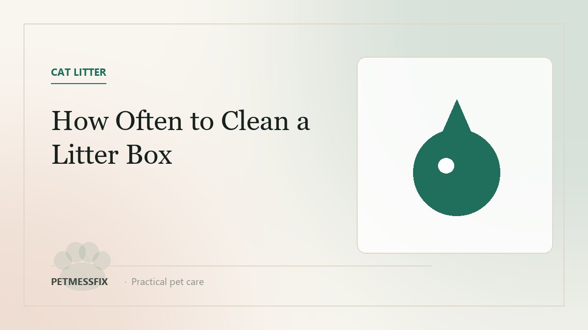 How Often Should You Clean a Cat Litter Box?