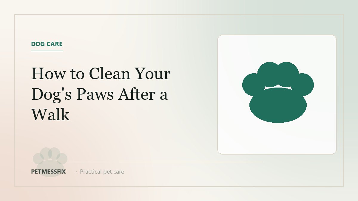How to Clean a Dog's Paws After a Walk