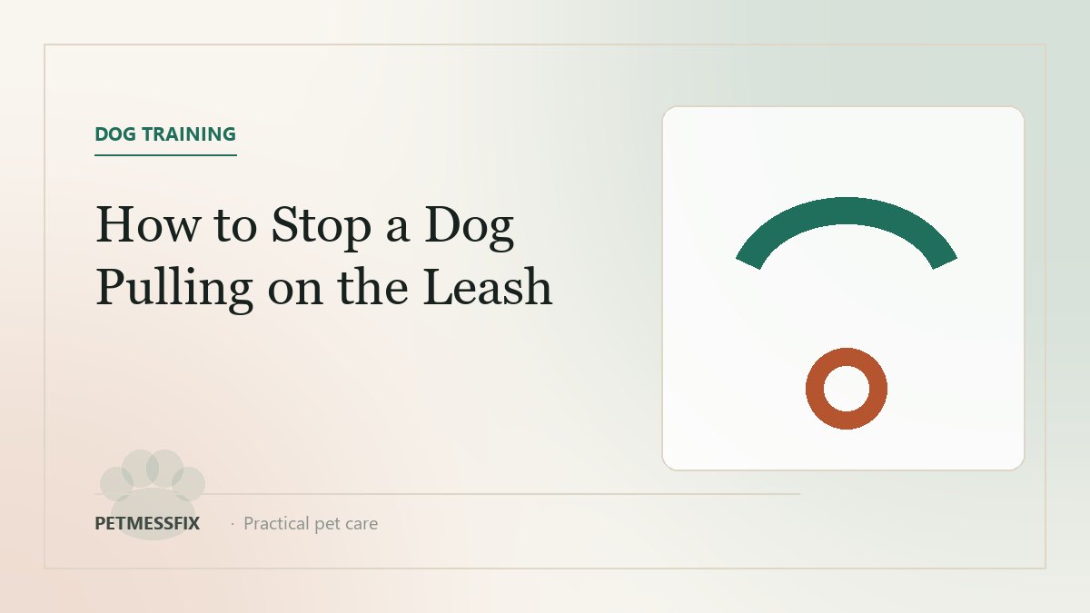 How to Stop a Dog From Pulling on the Leash