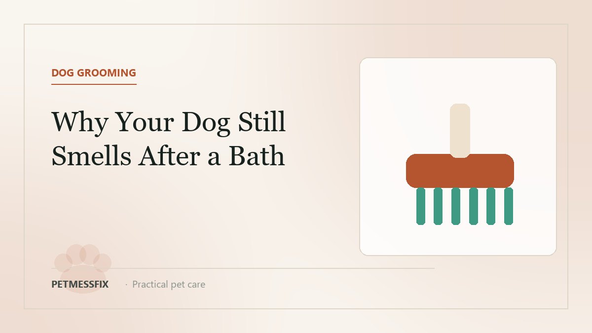 Why Does My Dog Smell Bad Even After a Bath?